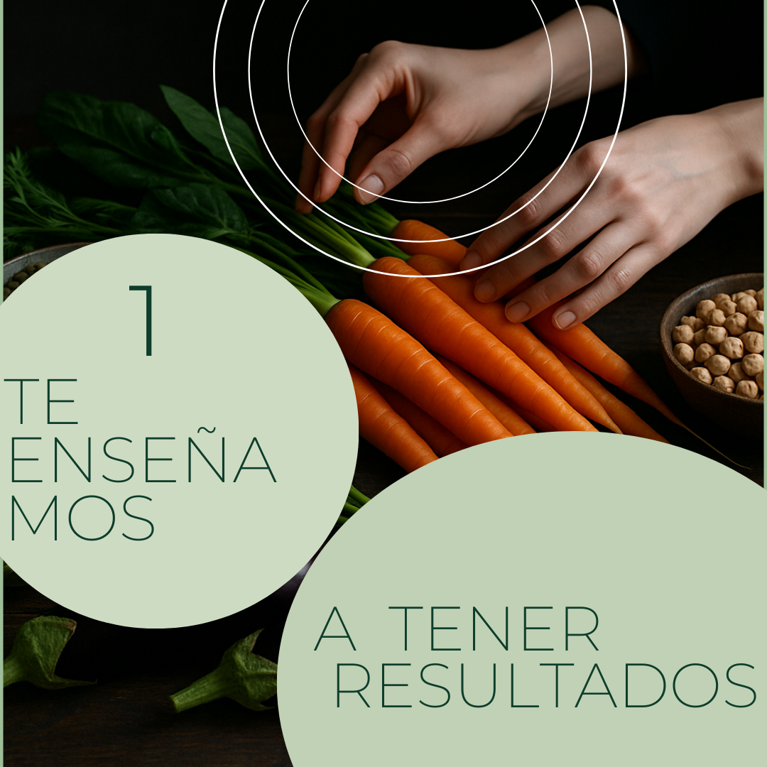 Sabores Sin Carne